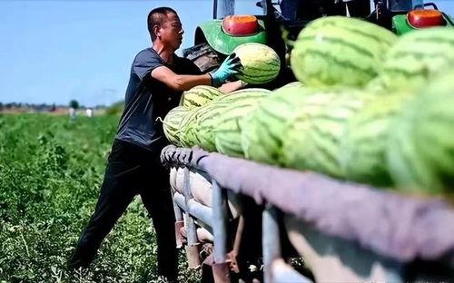 长城新媒体吃瓜,揭秘娱乐圈最新“吃瓜”事件  第3张