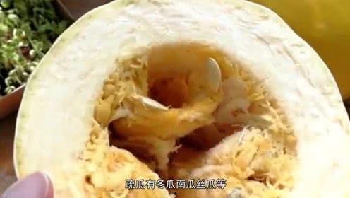 吃瓜粉丝的天堂  第3张