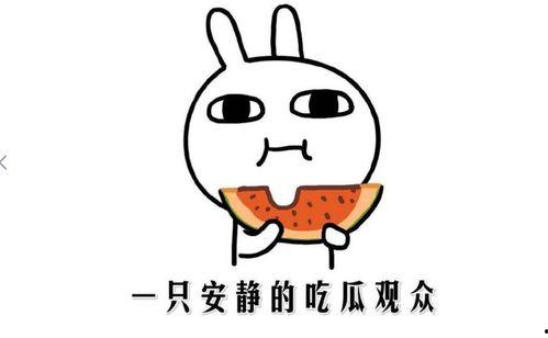 吃瓜盟主的简介,网络红人的崛起与影响力  第3张