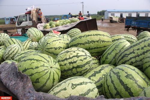 雨雨吃瓜5,揭秘娱乐圈背后的秘密与真相 第2张 雨雨吃瓜5,揭秘娱乐圈背后的秘密与真相 第2张