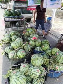 长垣吃瓜事件反转,反转背后的真相揭秘 第3张 长垣吃瓜事件反转,反转背后的真相揭秘 第3张