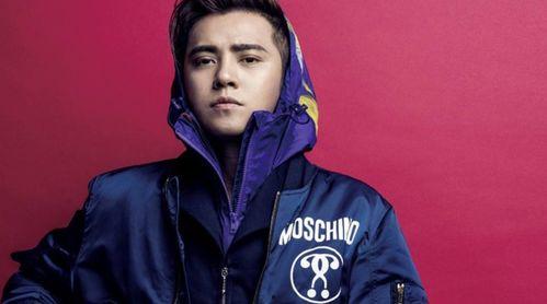 罗志祥吃瓜群众的瓜,揭秘娱乐圈的“瓜王”传奇 第2张 罗志祥吃瓜群众的瓜,揭秘娱乐圈的“瓜王”传奇 第2张