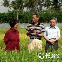 记者新闻吃瓜,揭秘娱乐圈幕后真相 第2张 记者新闻吃瓜,揭秘娱乐圈幕后真相 第2张