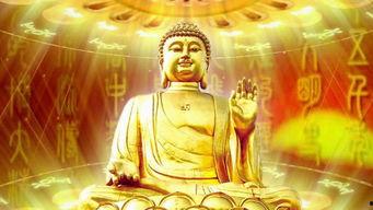 逆袭吃瓜佛祖,揭秘佛界奇闻，笑谈人间百态  第2张