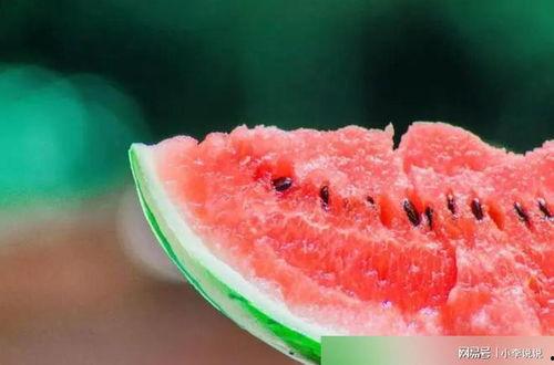 吃瓜CT,一场关于网络热点的深度探讨 第2张 吃瓜CT,一场关于网络热点的深度探讨 第2张