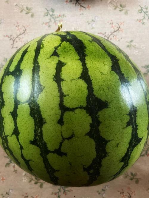 表演老师吃瓜,现场笑料百出  第2张