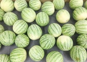 吃瓜群众真假 第3张 吃瓜群众真假 第3张