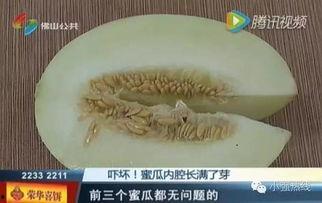 随机吃瓜15集,笑料百出，揭秘娱乐圈幕后故事