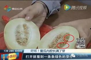 随机吃瓜15集,笑料百出，揭秘娱乐圈幕后故事  第3张