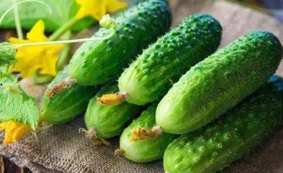 花蜜瓜病人可以吃吗,花蜜瓜病人能否安心享用？  第3张