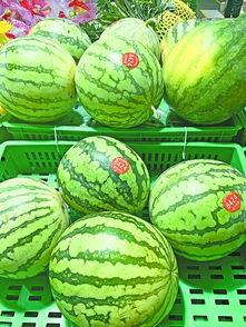 人事吃瓜,揭秘职场吃瓜背后的真相与启示 第2张 人事吃瓜,揭秘职场吃瓜背后的真相与启示 第2张