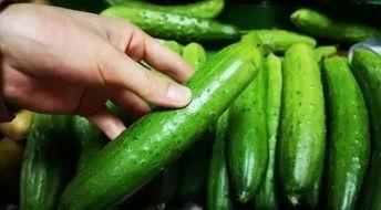 夏季常吃的瓜菜,清爽解暑的绿色美食之旅 第2张 夏季常吃的瓜菜,清爽解暑的绿色美食之旅 第2张