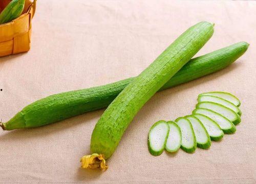 夏季常吃的瓜菜,清爽解暑的绿色美食之旅 第3张 夏季常吃的瓜菜,清爽解暑的绿色美食之旅 第3张