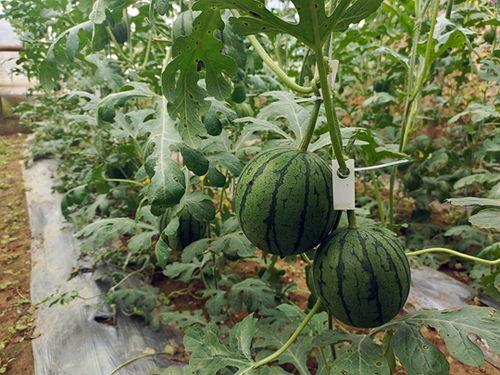 昆小迷吃瓜,揭秘娱乐圈那些不为人知的幕后故事 第3张 昆小迷吃瓜,揭秘娱乐圈那些不为人知的幕后故事 第3张