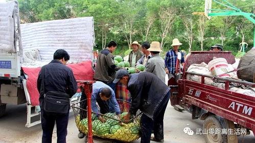 吃瓜群众2241,一场全民参与的娱乐盛宴  第2张