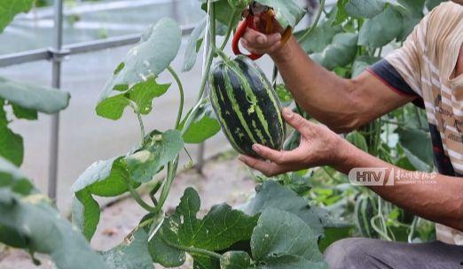 杭州印象教育吃瓜,吃瓜群众揭秘校园生活点滴  第2张