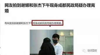 吃瓜视频民政局,民政局背后的那些事儿  第3张