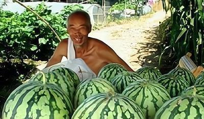 吃瓜人大战卖瓜人,吃瓜人与卖瓜人的激战正酣  第2张