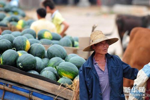 淮北吃瓜事件后续情况,真相大白，后续发展及社会影响全解析