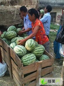 淮北吃瓜事件后续情况,真相大白，后续发展及社会影响全解析  第2张