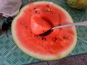 成都男人吃瓜,瓜界新势力，品味生活新风尚