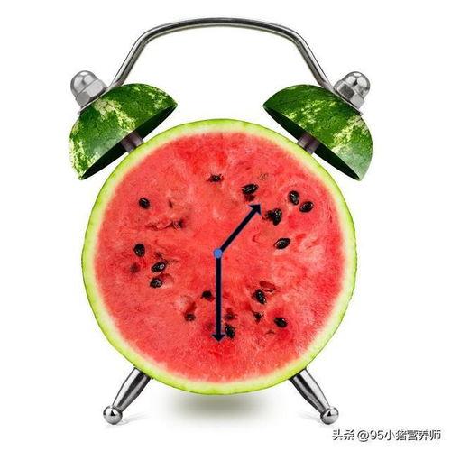 快乐吃瓜卡通,趣味横生的奇幻冒险之旅