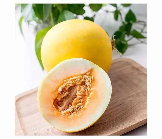 吃瓜还嫌瓜不甜下一句,品味生活，笑对人生