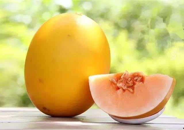 吃瓜还嫌瓜不甜下一句,品味生活，笑对人生  第2张