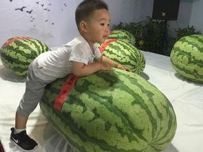 1.22吃瓜事件  第2张