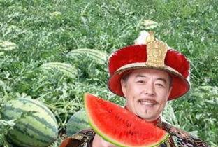 瓜农车祸吃瓜,网友热议“吃瓜”背后的反思  第2张