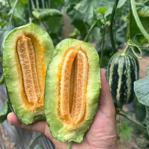 果小菁吃瓜,揭秘娱乐圈那些不为人知的幕后故事  第2张