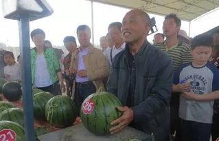 库尔勒吃瓜群众八人,瓜乡里的生活画卷