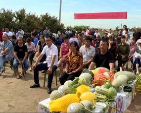 库尔勒吃瓜群众八人,瓜乡里的生活画卷  第3张