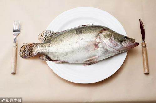 带你吃瓜仰泳鱼,带你领略“带你吃瓜仰泳鱼”的独特魅力  第3张