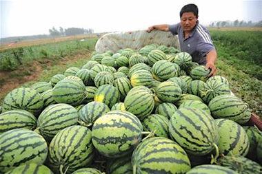 吃瓜新闻号,吃瓜新闻号带你领略明星幕后故事 第3张 吃瓜新闻号,吃瓜新闻号带你领略明星幕后故事 第3张