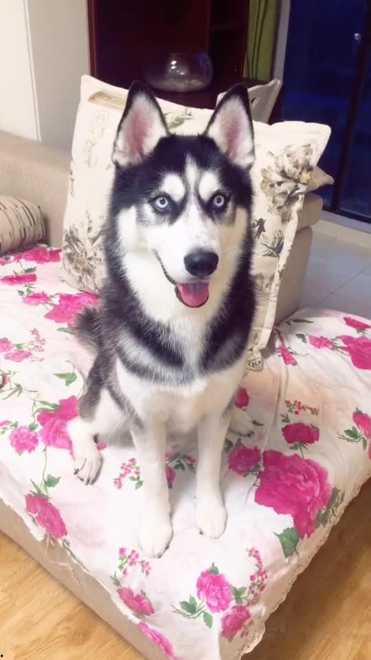 吃瓜小探哈,揭秘娱乐圈那些不为人知的幕后故事 第2张 吃瓜小探哈,揭秘娱乐圈那些不为人知的幕后故事 第2张