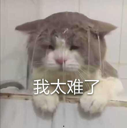 猪头黑脸吃瓜群众,揭秘吃瓜群众的众生相 第3张 猪头黑脸吃瓜群众,揭秘吃瓜群众的众生相 第3张
