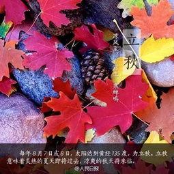 吃立秋瓜的古诗  第3张