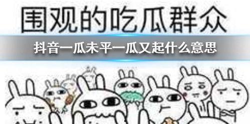 抖音吃瓜怎么学,学生如何轻松掌握吃瓜技巧