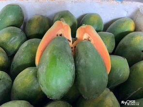 吃瓜群众木瓜广告,吃瓜群众的新宠，美味与健康的完美结合  第2张