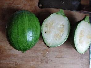 什么瓜可以吃蔬菜,探索多样蔬菜的食用之道  第3张