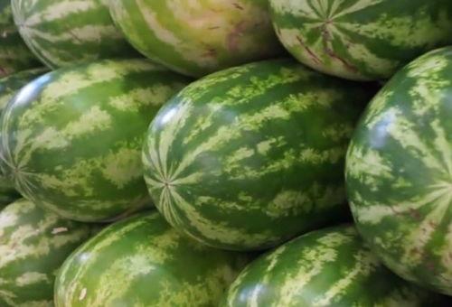 恒通市场吃瓜,吃瓜群众见证的繁华变迁 第3张 恒通市场吃瓜,吃瓜群众见证的繁华变迁 第3张