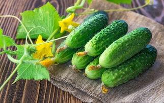 爱我吃瓜网,爱我吃瓜网带你领略吃瓜文化新风尚  第2张