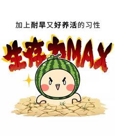 爱我吃瓜网,爱我吃瓜网带你领略吃瓜文化新风尚  第3张