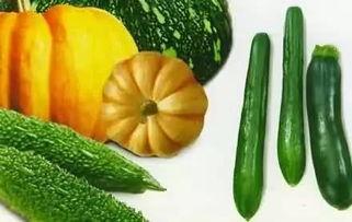 吃瓜木几舟,揭秘神秘瓜果背后的传奇故事  第3张