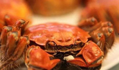 大闸蟹可以吃籽瓜吗,探索海鲜与瓜果的跨界美食