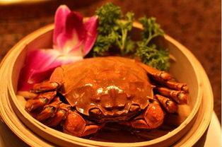 大闸蟹可以吃籽瓜吗,探索海鲜与瓜果的跨界美食 第3张 大闸蟹可以吃籽瓜吗,探索海鲜与瓜果的跨界美食 第3张