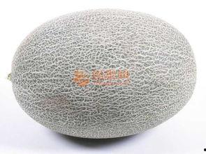 西周蜜瓜怎么吃,古法传承，甜蜜滋味新体验