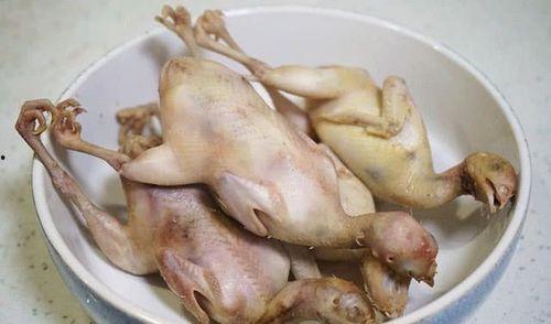 小鸡吃老瓜,一场奇妙的生态冒险  第3张