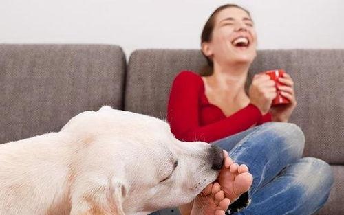 天天恋爱费曼吃瓜 第2张 天天恋爱费曼吃瓜 第2张